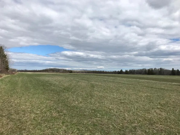 S Clegg Rd, Pickford, MI 49774