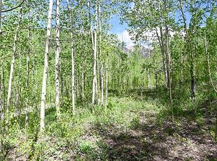 Mill Rd, Rico, CO 81332