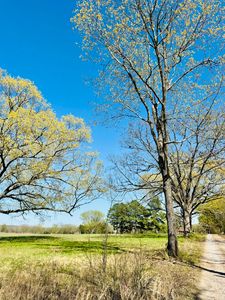 64 James Village Rd, Batesville, AR, 72501