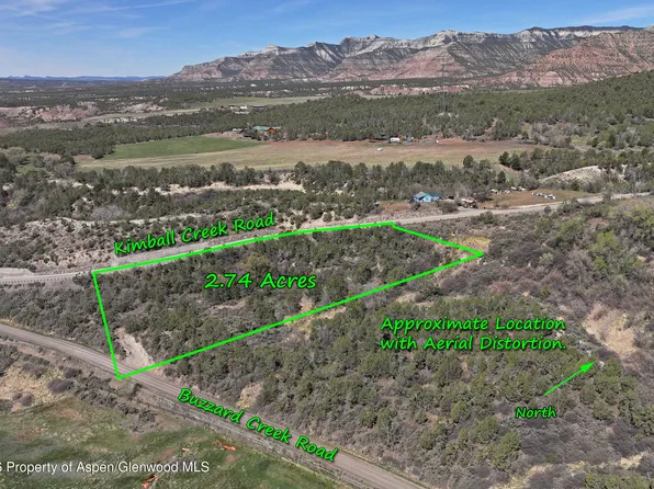 58450 Buzzard Creek Rd, Collbran, CO 81624