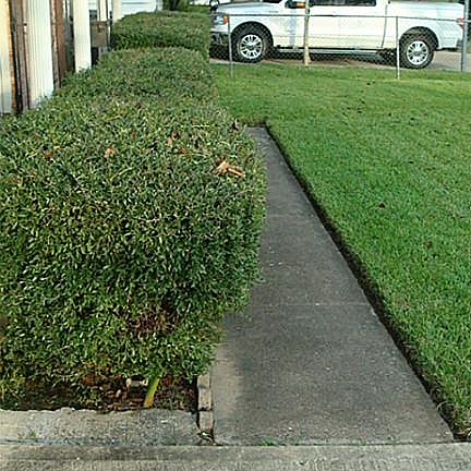 2nd image of 4306 Tidewater Dr