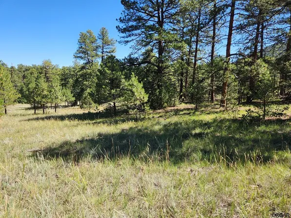 2462 Indian Wells Rd, Cotopaxi, CO 81223