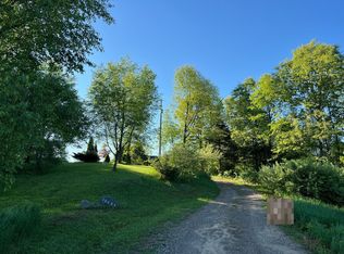 10635 Cowan Rd, Hanover, MI 49241