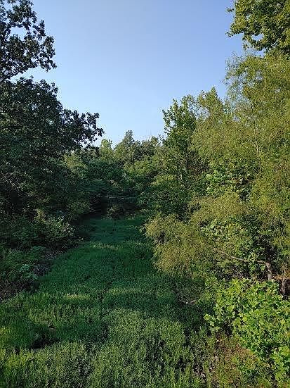 2nd image of W Sherry Ln