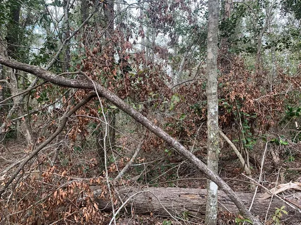 Tbd 186th Pl, Live Oak, FL 32060