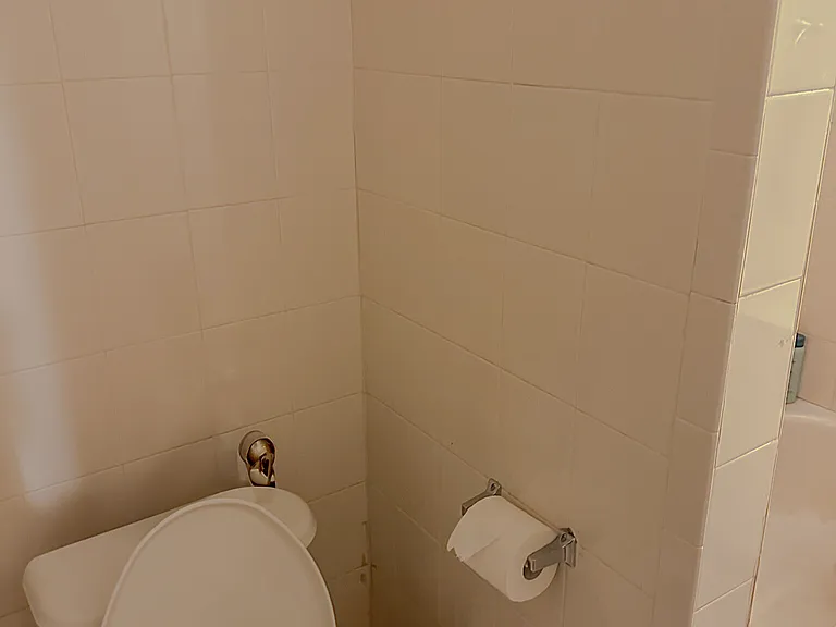 74 Egmont St #6 — Photo 21