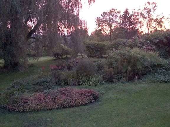 Koi pond with landscaping