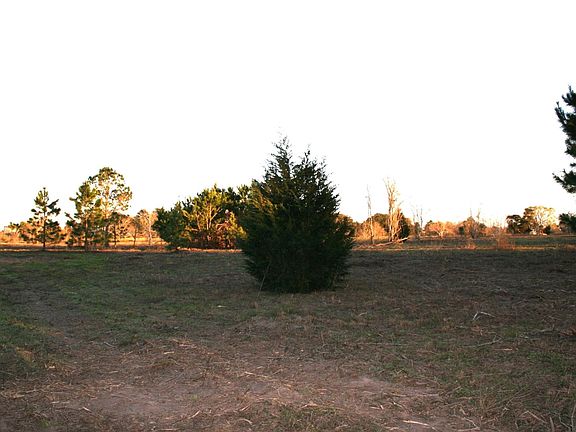 5th image of Peters San Felipe Rd