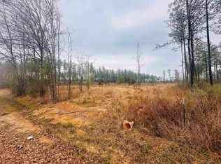 915 McLin Rd, Pine Grove, LA 70453