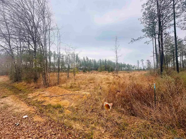 915 McLin Rd, Pine Grove, LA 70453