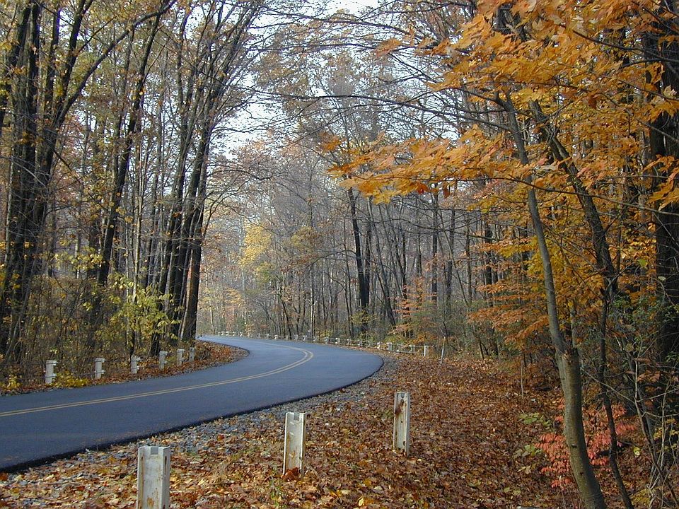 Shed Road in the Fall