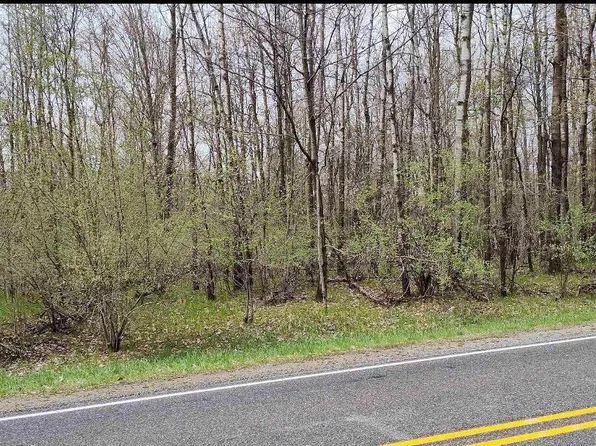 1154 Queensway Dr, Lake Isabella, MI 48893