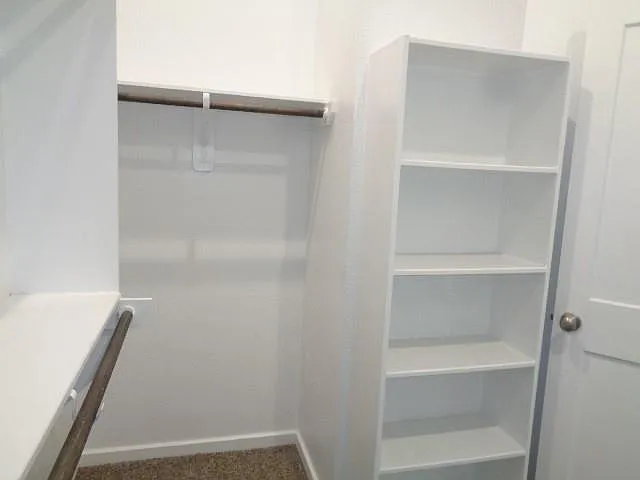 27029 Sofia Forest Dr — Photo 20