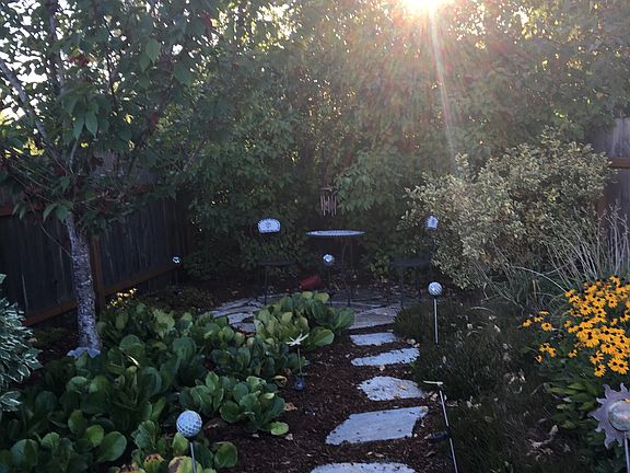 back corner garden
