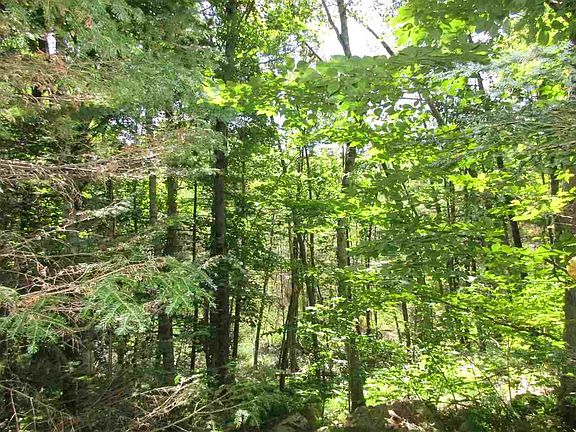 View out front of cabin