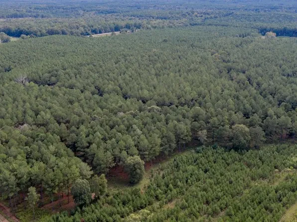 702A Pietsch Rd, Ringgold, LA 71068