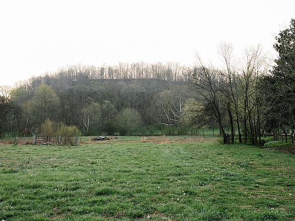 3rd image of 5545 Beech Hill Rd