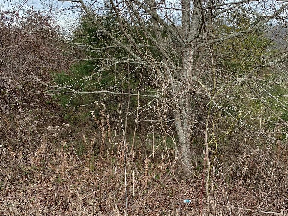 1st image of 121 Links Ct Lot 204
