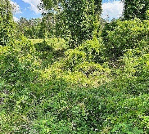 2nd image of 10031 Twin Valley Rd