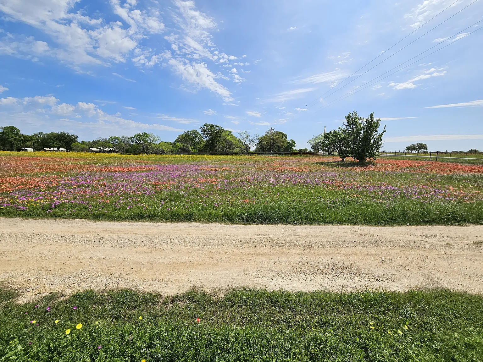 10641 FM 466 — Photo 3