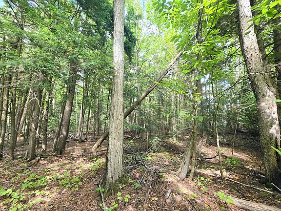 5th image of 56 Deepwoods Dr