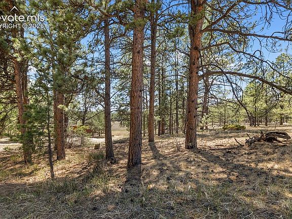 2nd image of 349 Rhyolite Ln