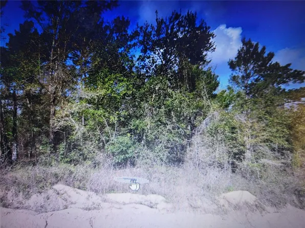 Grey St Lot 26, Interlachen, FL 32148