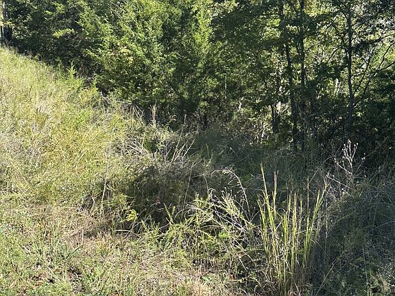 5th image of 28 Lake Smoky Rd Lot 28