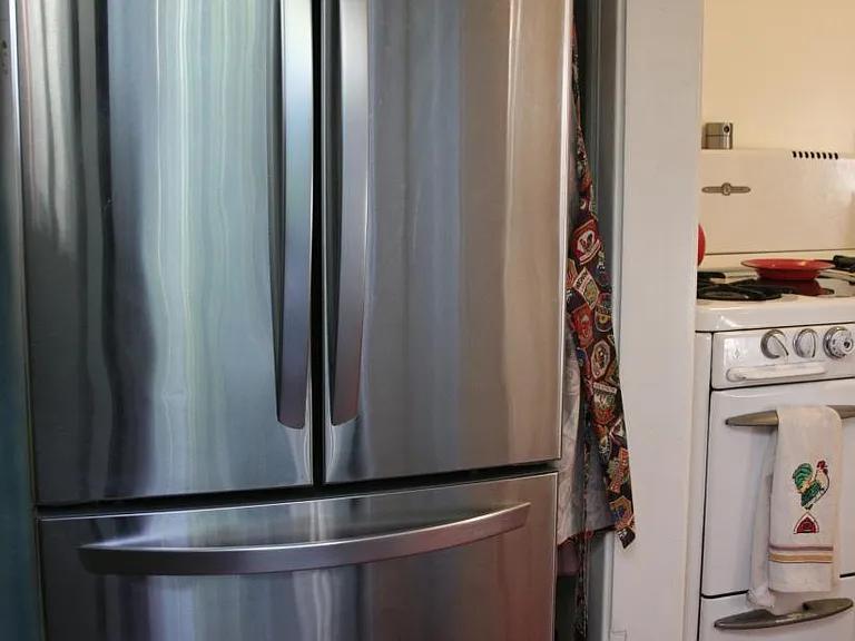 stainless Fridge