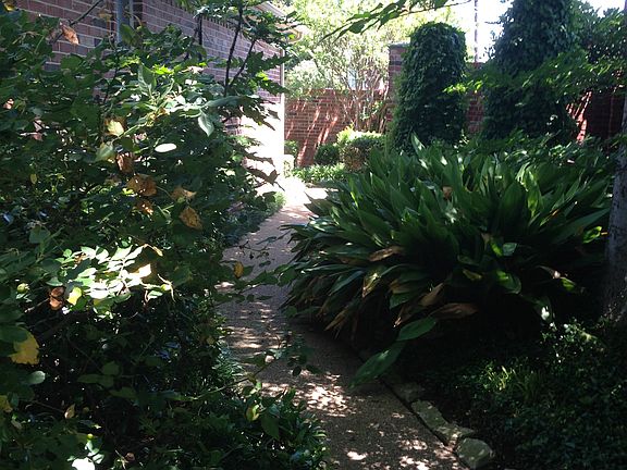 Backyd Sidewalk