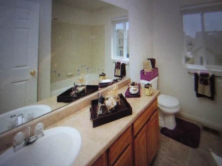 1733 Fossil Creek Pkwy — Photo 21