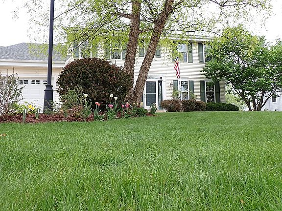 Spring flowers blooming
