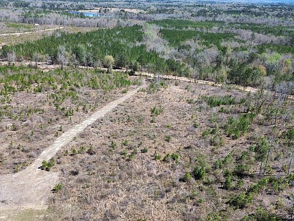 Dji Fly 20260317 132530 489 1773768737510 Photo Optimized