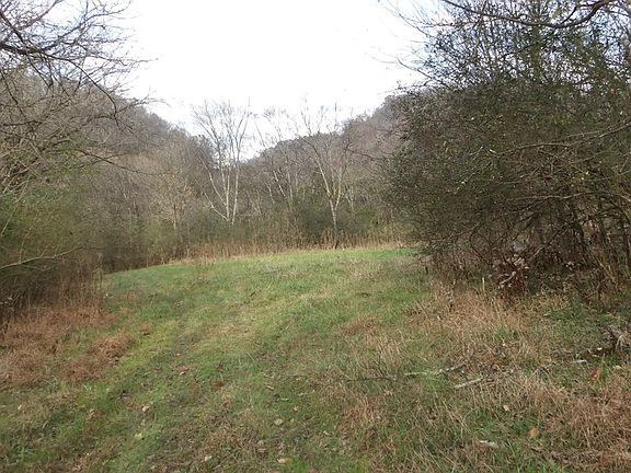 2nd image of 89AC Baugh Hollow Ln