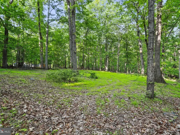 Dogwood Circle & Timber Ln, Bluemont, VA 20135