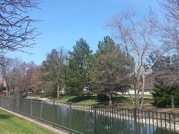 Pond