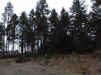 2nd image of 3007 31st Ct NE