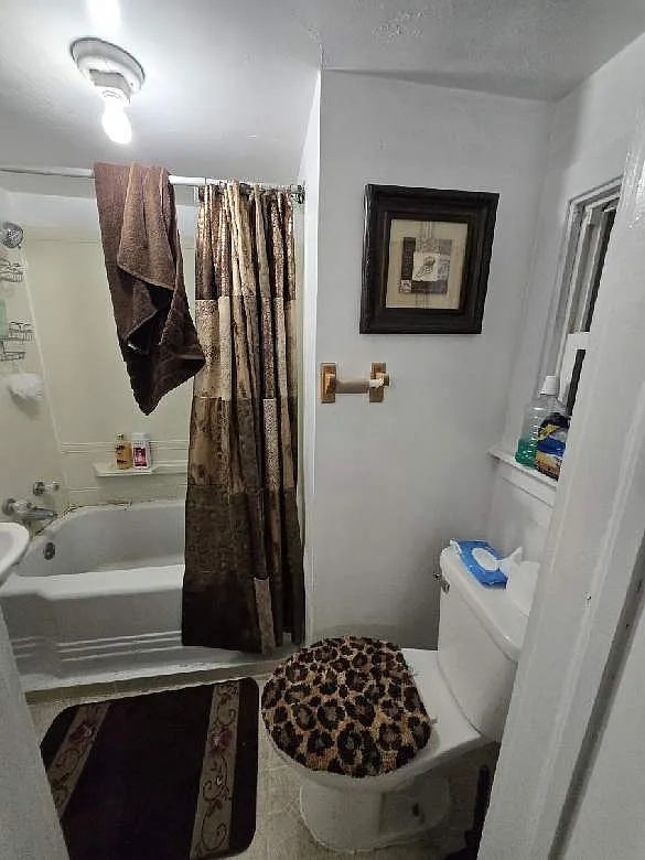 1 bed, $800 — Photo 4