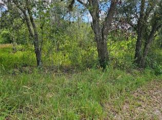 541 Andretti Rd, Venus, FL 33960