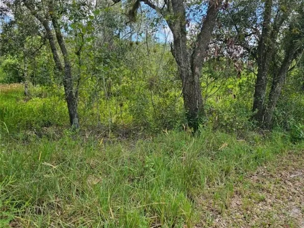 541 Andretti Rd, Venus, FL 33960