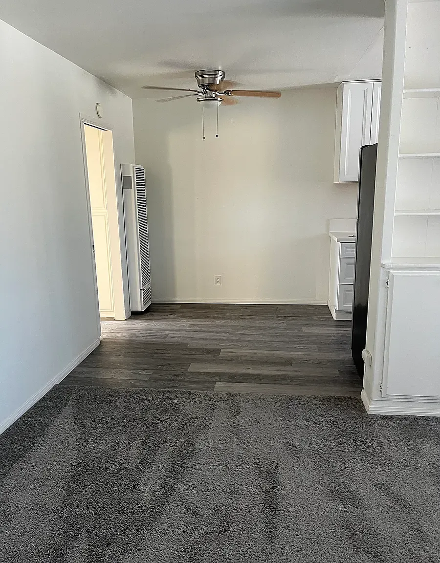 1 bed, 470 sqft, $2,000 — Photo 3