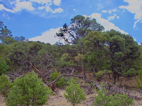 4th image of Tbd La Veta Pines Rnch