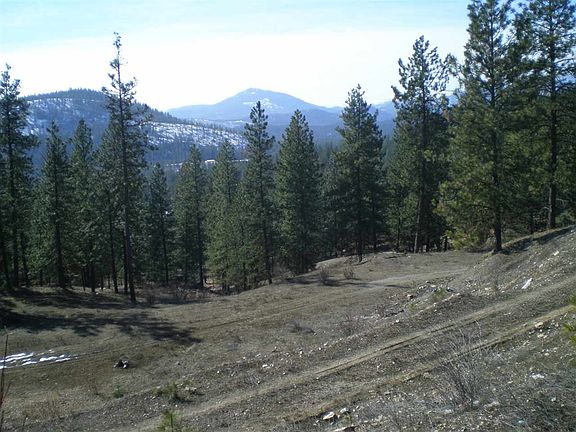 3rd image of 26XX Pine Top Way