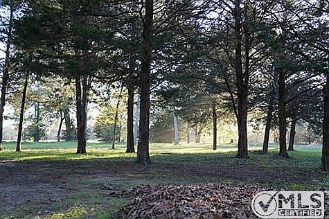 4th image of 1325 County Road 1036