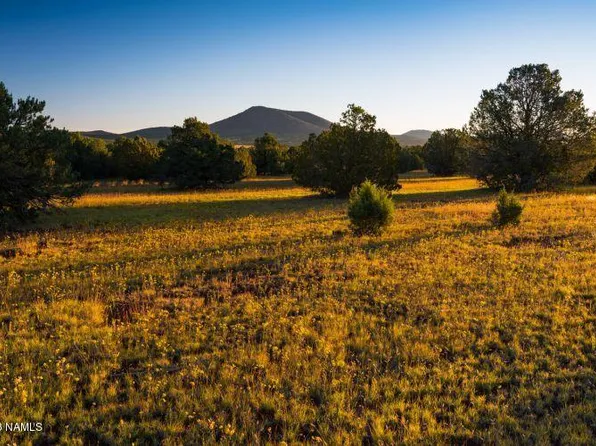 7906 Daisy Dr, Williams, AZ 86046