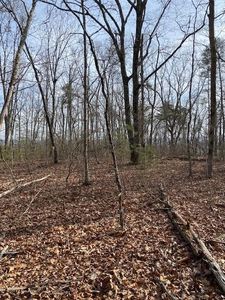 8 Keener Hill Rd Lot 8, Pikeville, TN, 37367