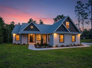 13193 Barnevelde Rd, Weeki Wachee, FL 34614