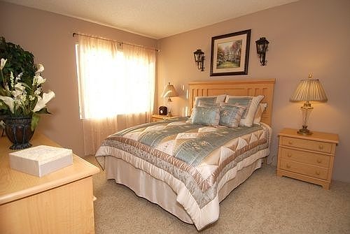 4th image of 29011 Dune Ln APT 205
