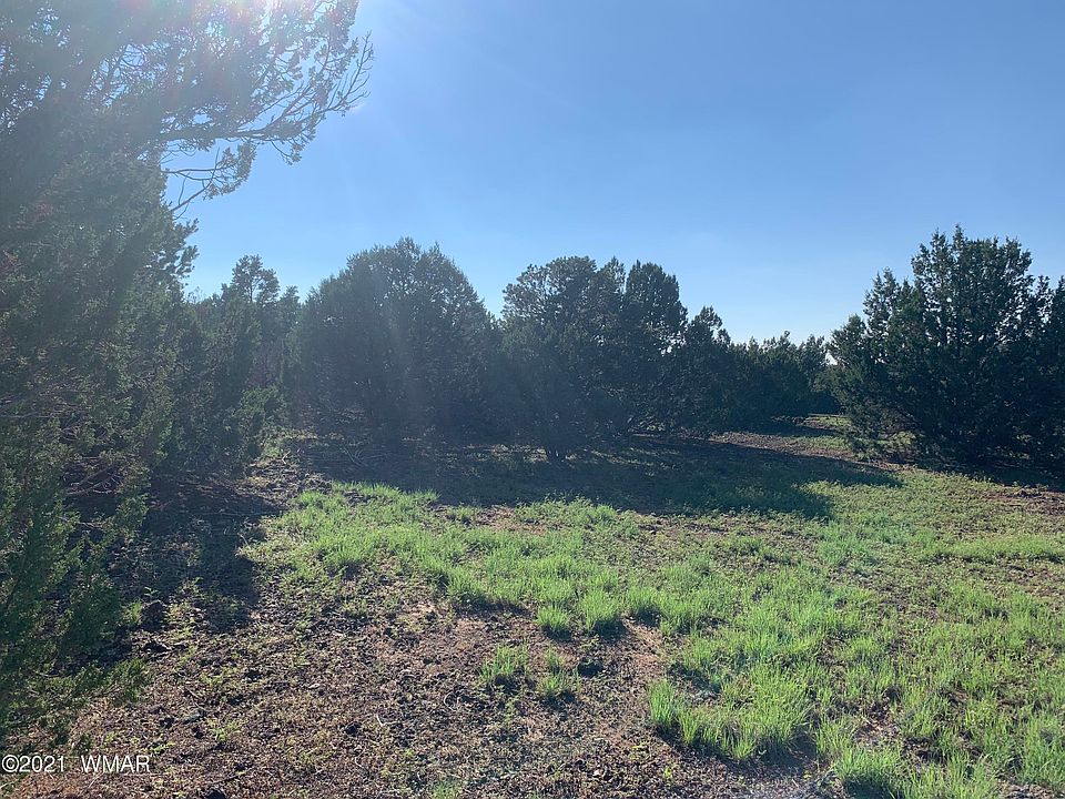 1st image of 99 County Road 3168