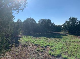 99 County Road 3168, Vernon, AZ 85940